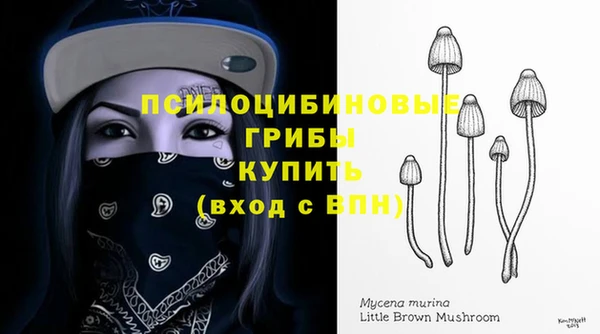 mdpv Алексин