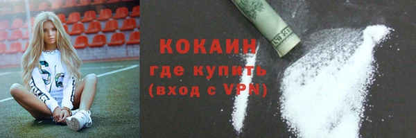 индика Новозыбков