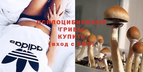 mdpv Алексин