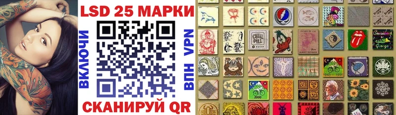 дарнет шоп  Нефтекумск  Наркотические марки 1,8мг 